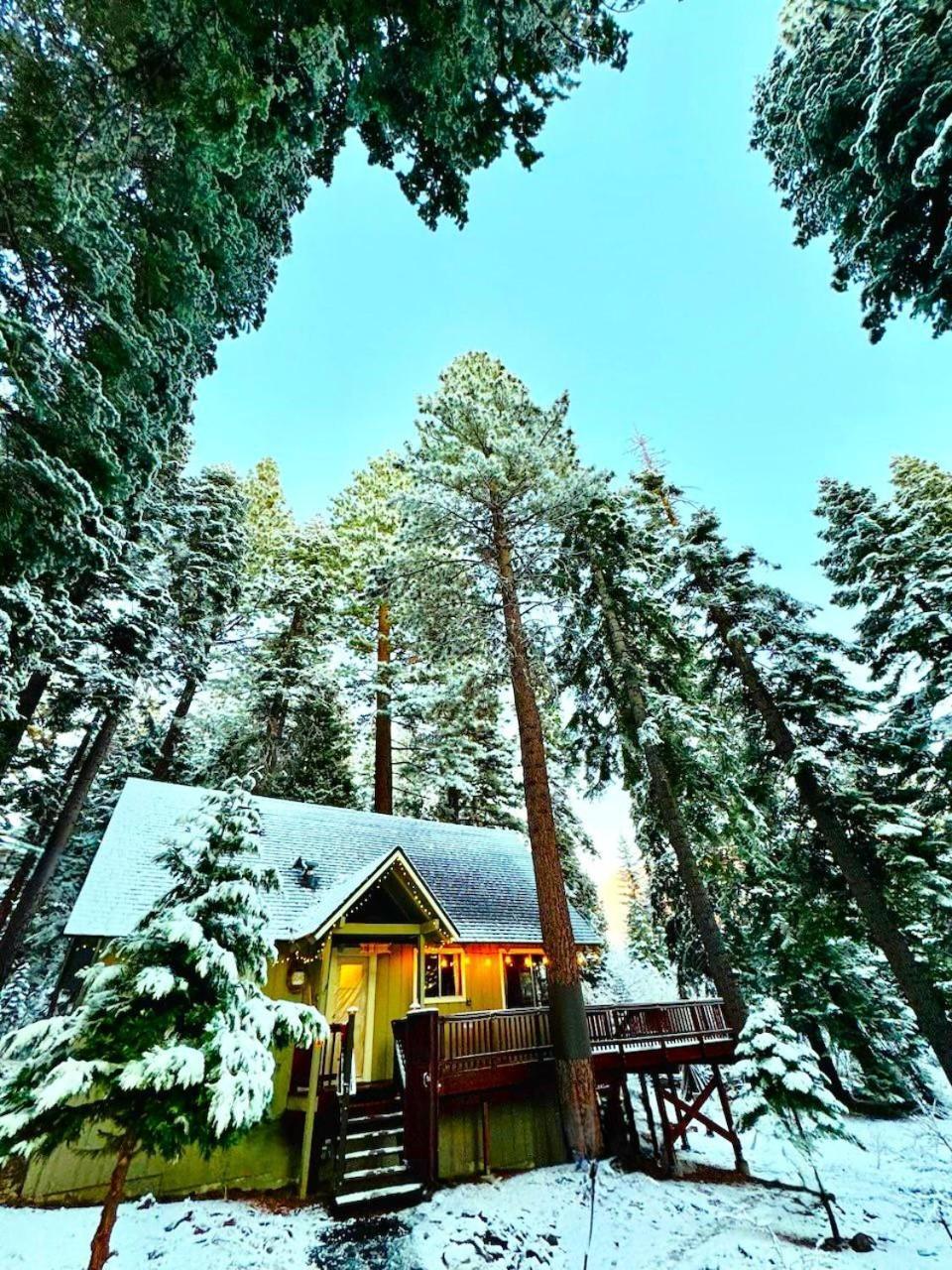The Honey Bear Cabin Carnelian Bay Zewnętrze zdjęcie