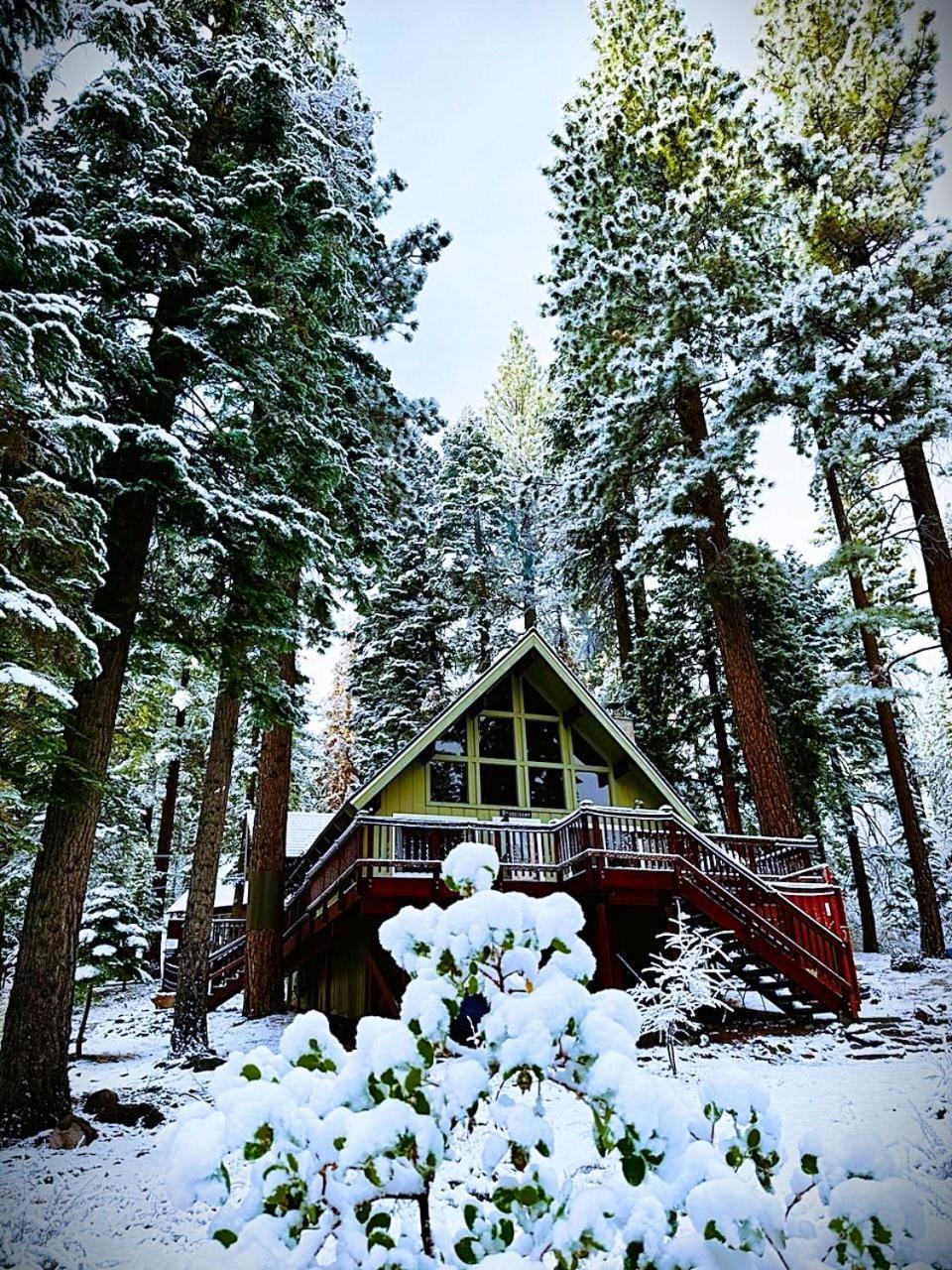 The Honey Bear Cabin Carnelian Bay Zewnętrze zdjęcie